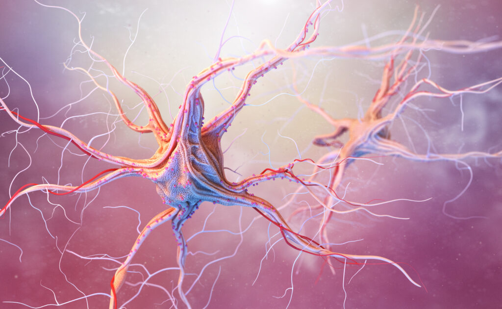 Explore a biological image of a neurotransmission system in the human body the super highway of the Healing Power of Hemps Hidden Cannabinoids