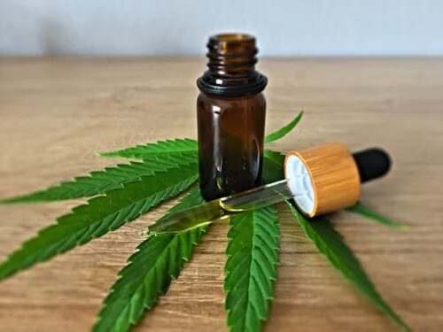 Best CBD Oil