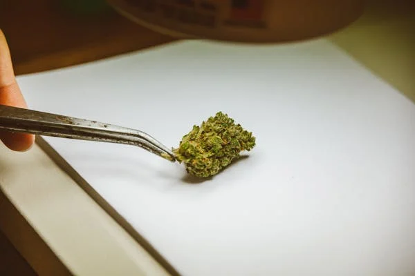CBD Customer Education | Customer-centric CBD