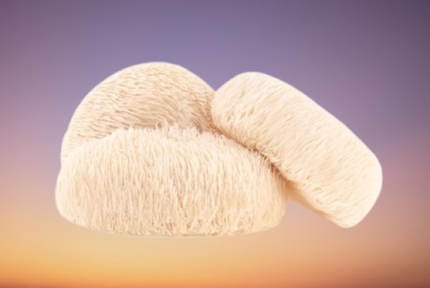The Power of Mushroom Supplementation For Better Health