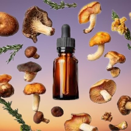 Health Benefits of Mushrooms: Nature’s Superfood