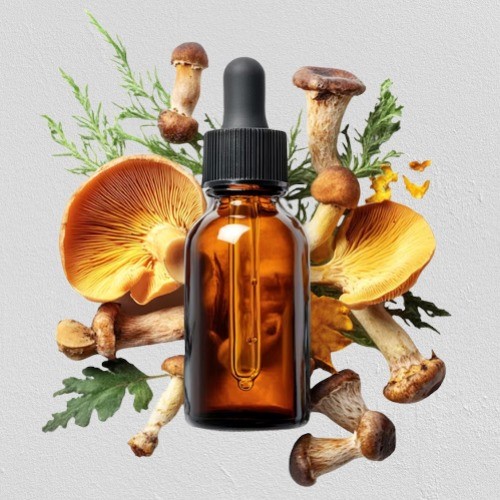 The Power of Mushroom Supplementation For Better Health