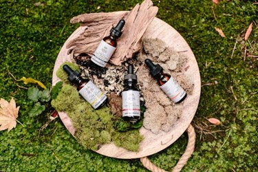 CBD Benefits | Mushroom Benefits for Stress, Sleep, and Wellness